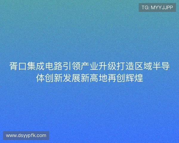 胥口集成电路引领产业升级打造区域半导体创新发展新高地再创辉煌